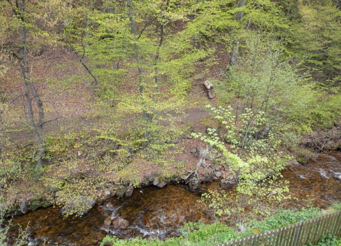 Ferienwohnung Nexö, 45 qm, 1 Schlafzimmer N5