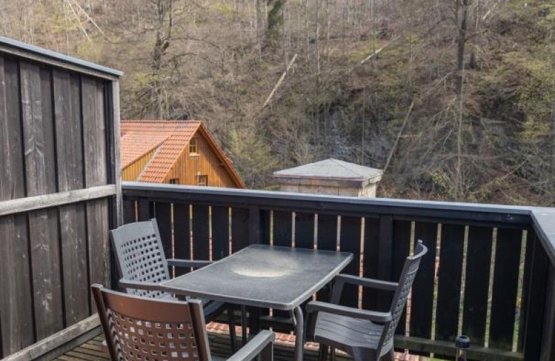 Ferienwohnung Forsthaus am Brocken, 40 qm, 1 Schlafzimmer F8