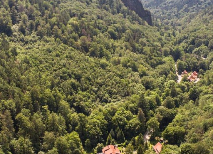 Ferienwohnung Ferienhäuser am Brocken, 60 qm, 2 Schlafzimmer