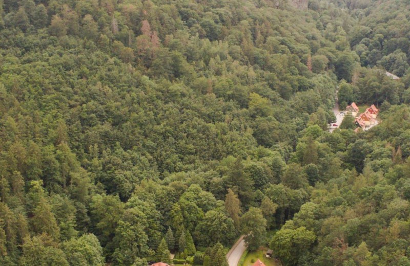 Ferienwohnung Ferienhäuser am Brocken, 80 qm, 3 Schlafzimmer