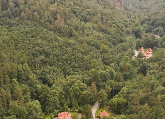 Ferienwohnung Ferienhäuser am Brocken, 60 qm, 2 Schlafzimmer