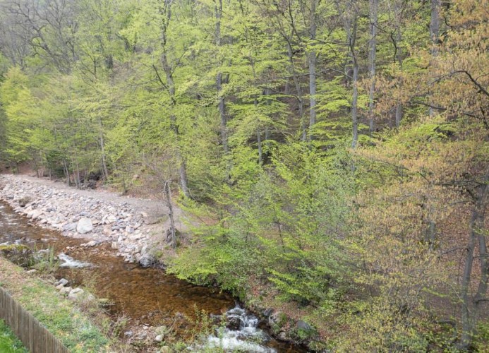Ferienwohnung Nexö, 45 qm, 1 Schlafzimmer N5