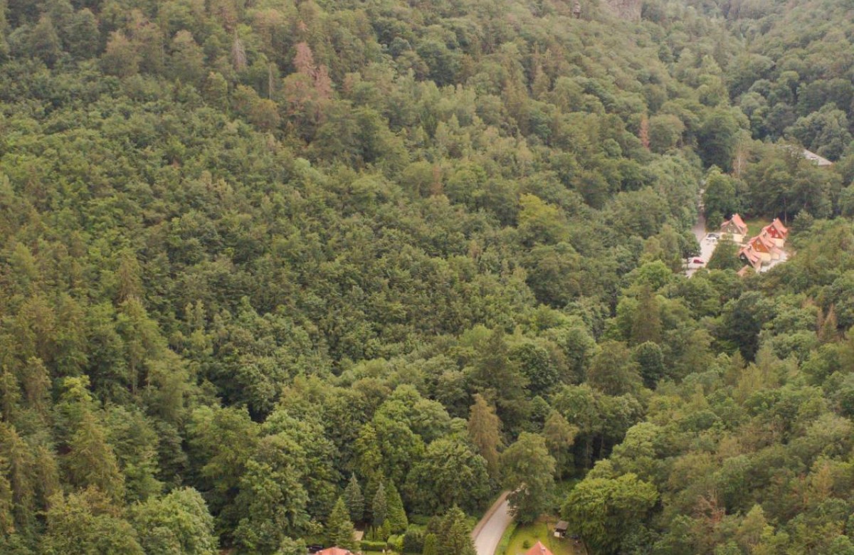Ferienwohnung Ferienhäuser am Brocken, 60 qm, 2 Schlafzimmer