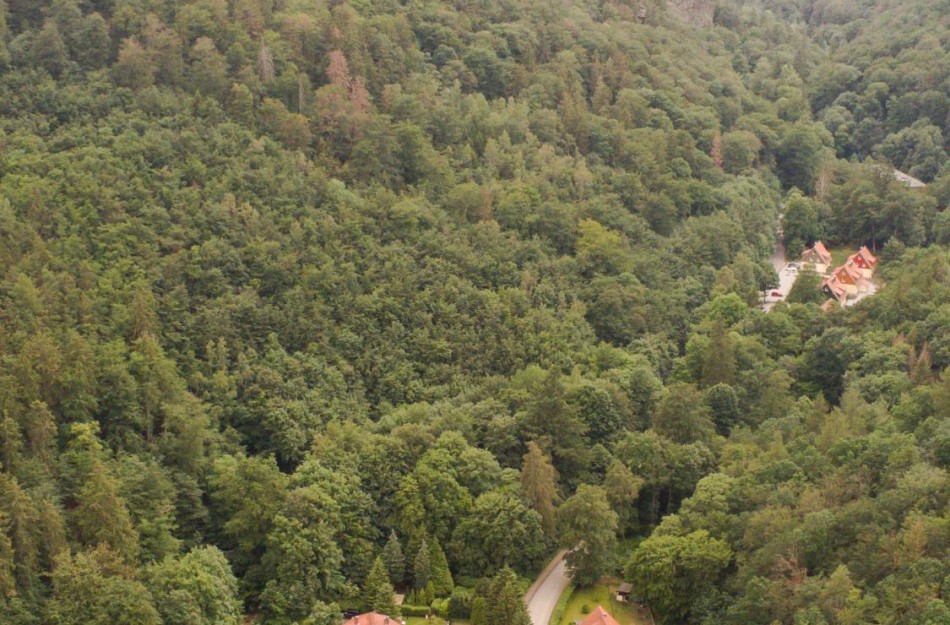 Ferienwohnung Ferienhäuser am Brocken, 60 qm, 2 Schlafzimmer